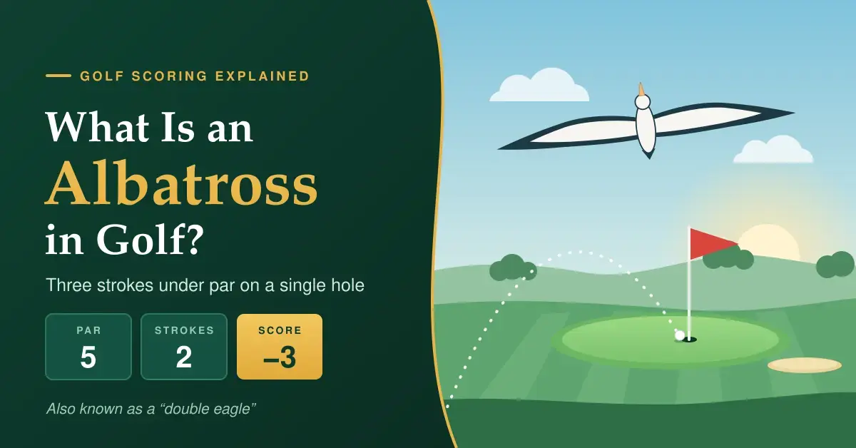 Illustrated graphic titled “What Is an Albatross in Golf?” showing an albatross gliding over a golf green, with a golf ball dropping into the hole beside the flag and a scorecard explaining that two strokes on a par 5 scores three under par.